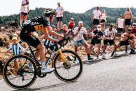 trek madone vs domane vs emonda