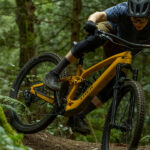 Trek Rail vs Fuel EXe: Which One Is Best For You?